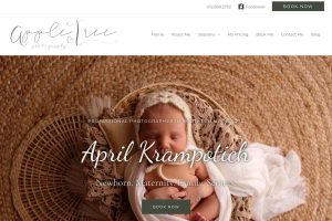 Website redesign for photographer April Krampotich owner of AppleTree.photography